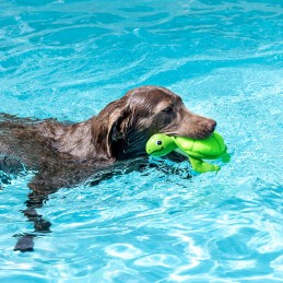 Drijvend water hondenspeelgoed