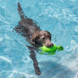 Drijvend water hondenspeelgoed kopen