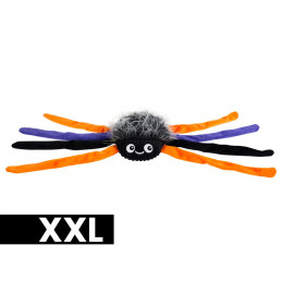 Trappin' Flies | XXL