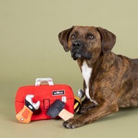 Interactive & Intelligence dog toys