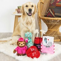 jouets pour chien Valentin