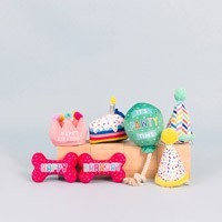 jouets d'anniversaire pour chiens