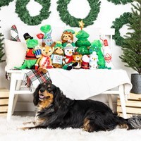 Christmas dog toys