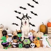 Juguetes para perros Halloween