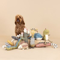 earth-friendly dog toys | Eco-Friendly Dog Toys