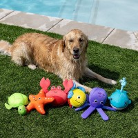 Jouets aquatiques pour chiens