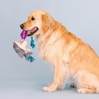 Hundespielzeug mit Seil